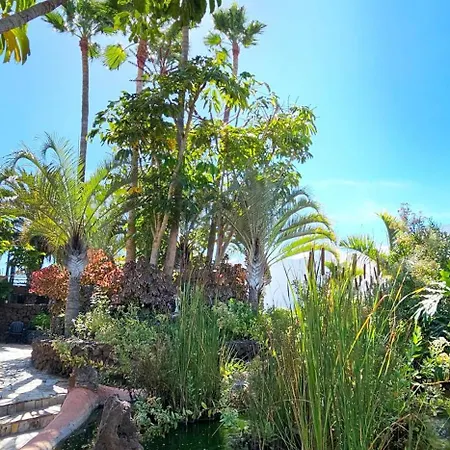 Espectacular Piso En Parque Don Jose Con Terraza Lejlighed *